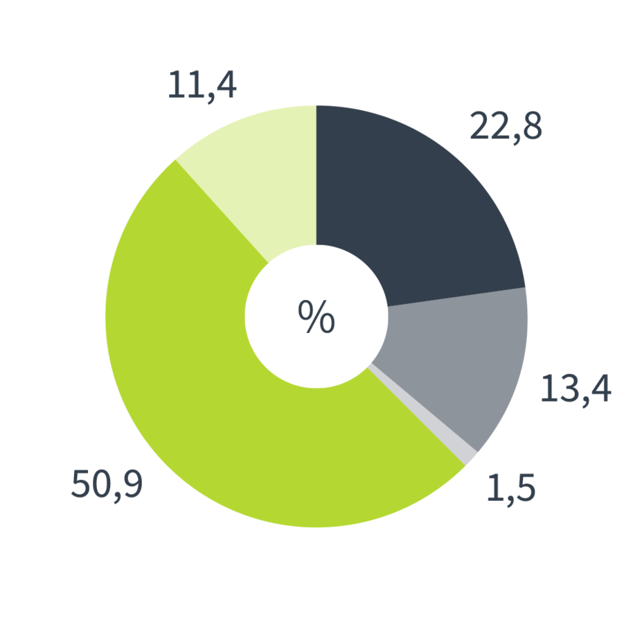 Tortendiagramm zum Energieträgermix für Deutschland. Das Diagramm ist in 5 Bereiche unterteilt: 50,9% des Stroms stammen aus erneuerbaren Energien, gefördert nach dem EEG. 11,4% des Stroms stammen aus erneuerbaren Energien mit Herkunftsnachweis, nicht gefördert nach dem EEG. 22,8 % des Stroms stammen aus Kohle. 13,4 % des Stroms stammen aus Erdgas und 1,5 % aus sonstigen fossilen Energieträgern.