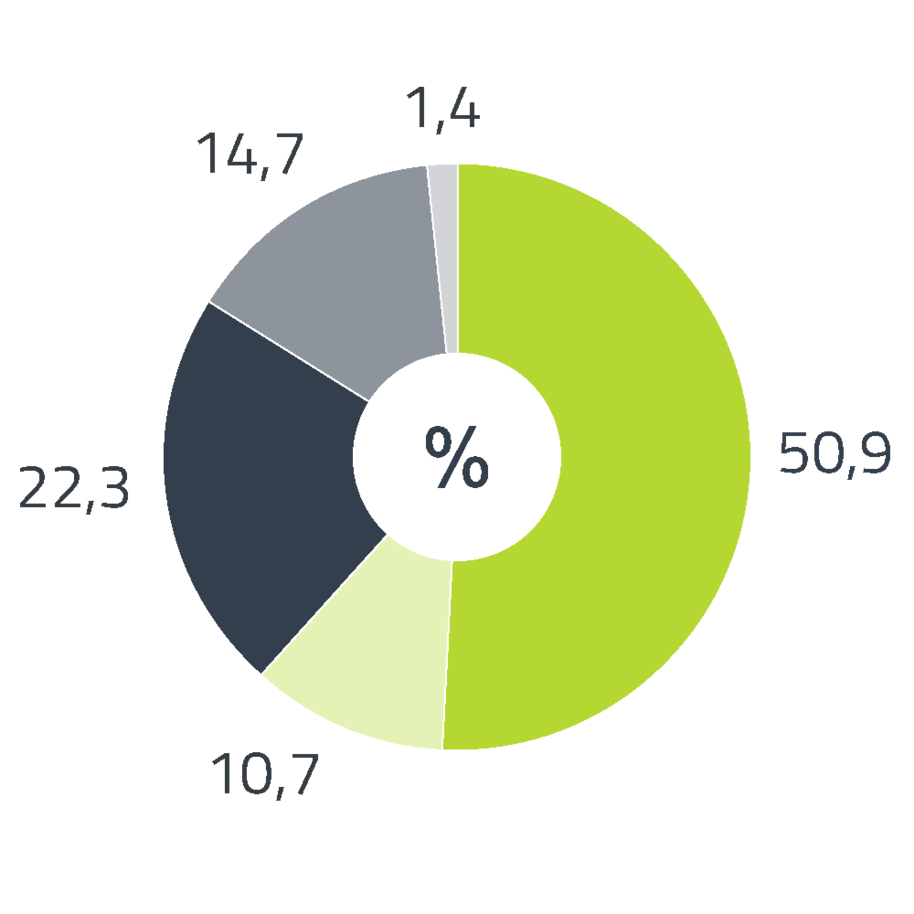 Tortendiagramm zum Energieträgermix für Deutschland. Das Diagramm ist in 5 Bereiche unterteilt: 50,9 % des Stroms stammen aus erneuerbaren Energien, gefördert nach EEG. 10,7 % des Stroms stammen aus erneuerbaren Energien mit Herkunftsnachweis, nicht gefördert nach dem EEG. 22,3 % des Stroms stammen aus Kohle. 14,7 % des Stroms stammen aus Erdgas und 1,5 % aus sonstigen fossilen Energieträgern.