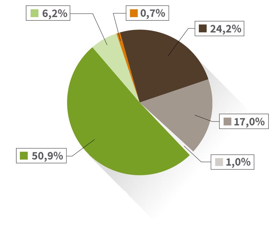 Diagramm verbleibender Strommix DREWAG Tortendiagramm zum verbleibenden Strommix DREWAG. Das Diagramm ist in 6 Bereiche unterteilt: 50,9% des Stroms stammen aus erneuerbaren Energien, gefördert nach dem EEG. 6,2% des Stroms stammen aus erneuerbaren Energien mit Herkunftsnachweis, nicht gefördert nach dem EEG. 24,2 % des Stroms stammen aus Kohle. 17,0 % des Stroms stammen aus Erdgas, 1 % aus sonstigen fossilen Energieträgern und 0,7 % aus Kernkraft..