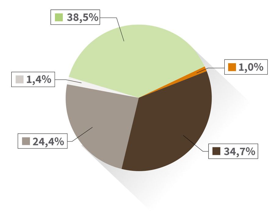 Diagramm Gesamt-Strommix DREWAG Tortendiagramm zum Gesamt-Strommix DREWAG. Das Diagramm ist in 5 Bereiche unterteilt: 38,5% des Stroms stammen aus erneuerbaren Energien mit Herkunftsnachweis, nicht gefördert nach dem EEG. 34,7 % des Stroms stammen aus Kohle. 24,4 % des Stroms stammen aus Erdgas, 1,4 % aus sonstigen fossilen Energieträgern und 1 % aus Kernkraft.