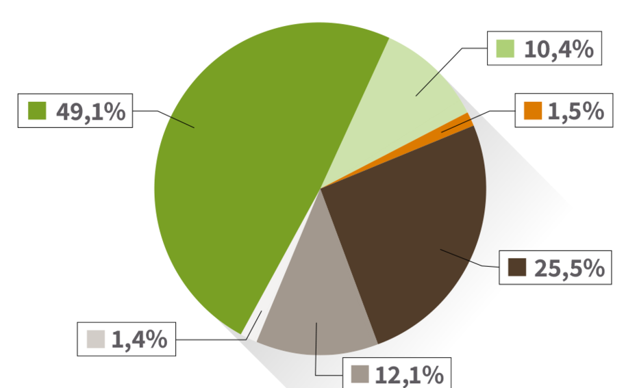 Diagramm für Strommix Deutschland 2023