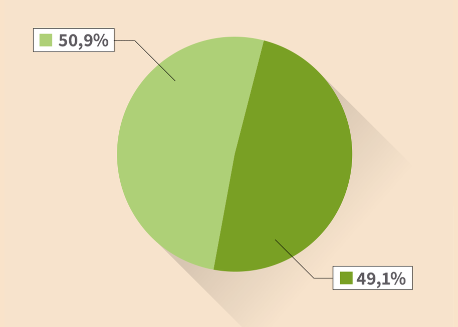 Diagramm zur Zusammensetzung des Ökostroms der Energie.Manufaktur 2023